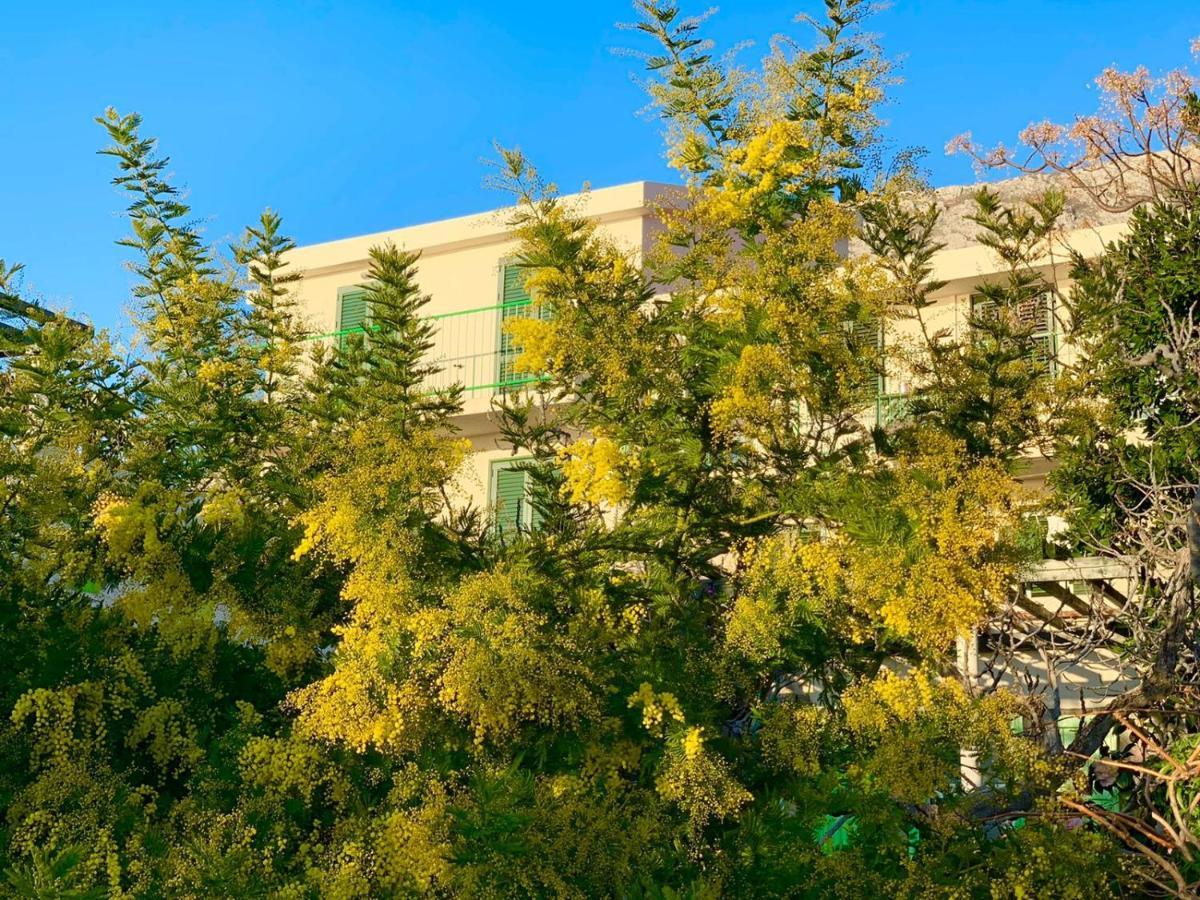 Boutique Home Saltaragazza Петровац Экстерьер фото